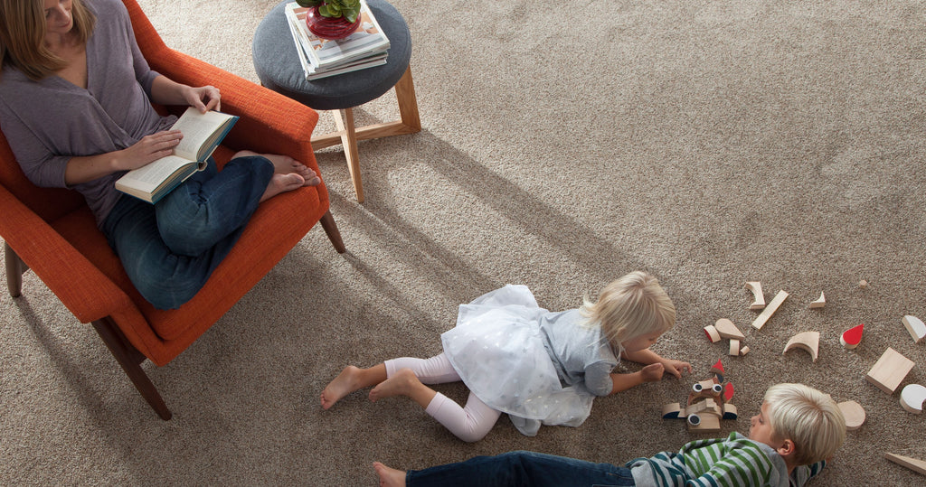 Plush Carpet: Pros and Cons