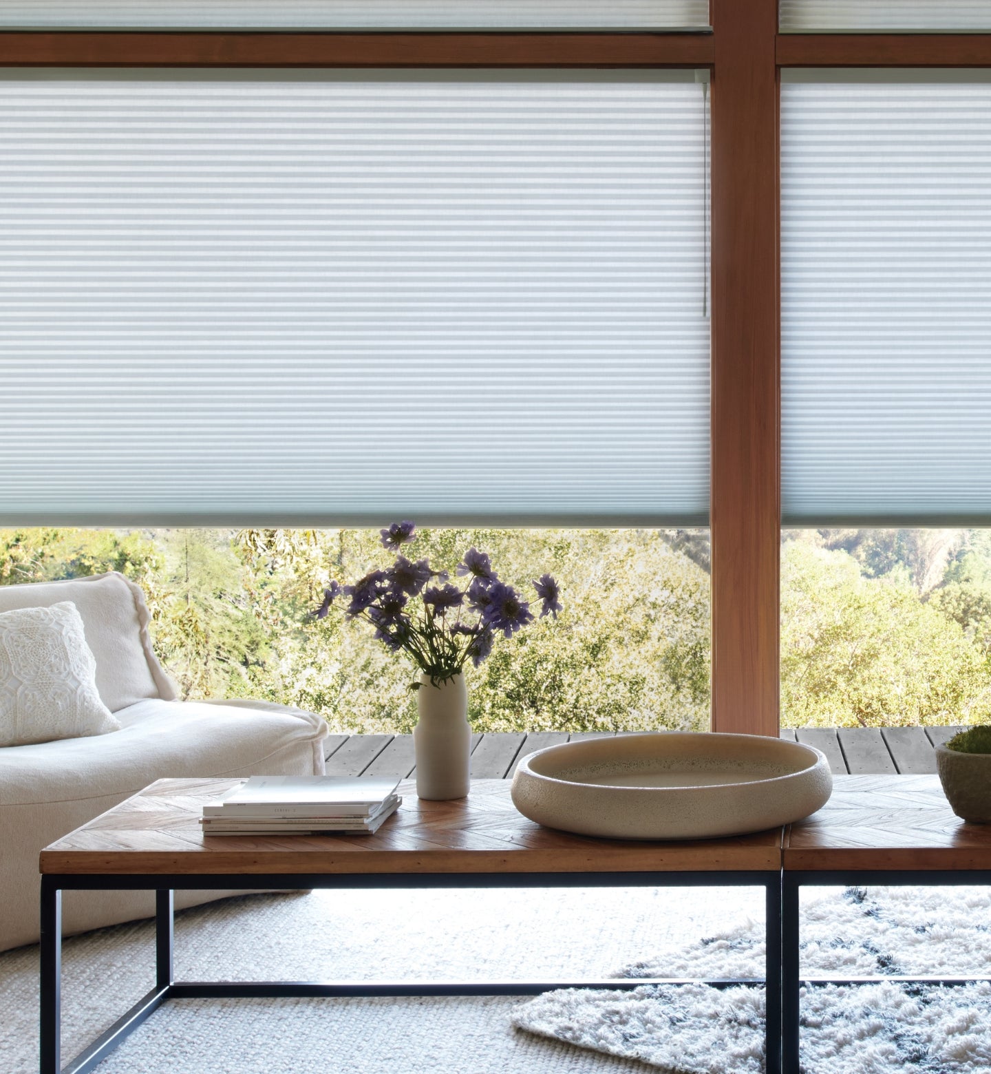 Duette Honeycomb Shades